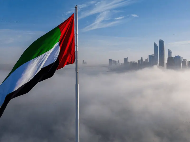 UAE tax regulation